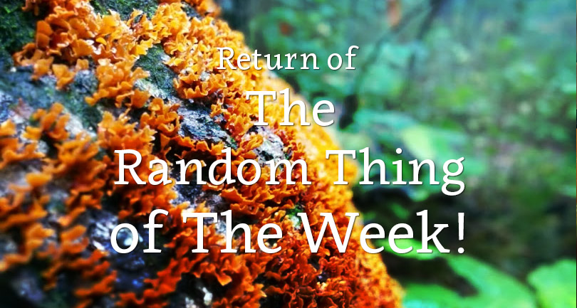 Random thing of the week 11-11-14