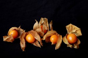 five_physalis