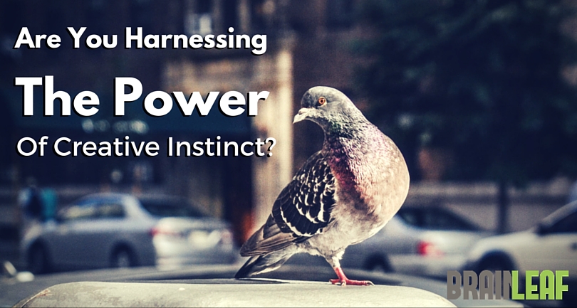 Are You Harnessing the Power  of Creative Instinct?